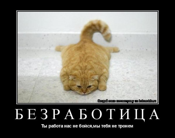Безработный демотиватор