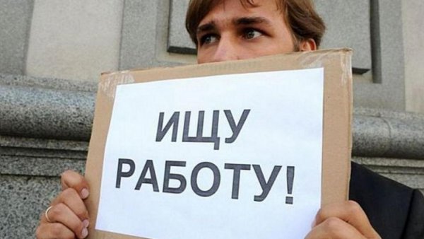 Ищу работу картинки