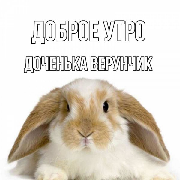Доброе утро Раечка