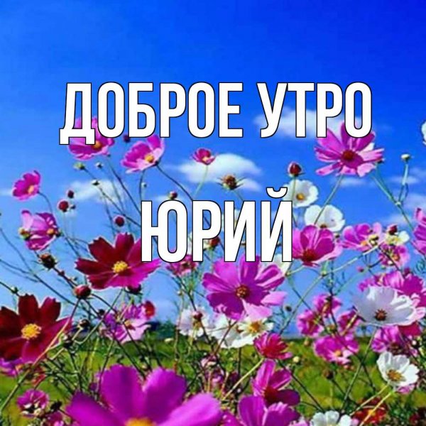Доброе утро Мария
