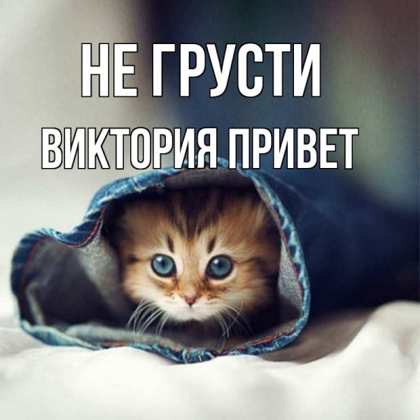 Губка Боб привет