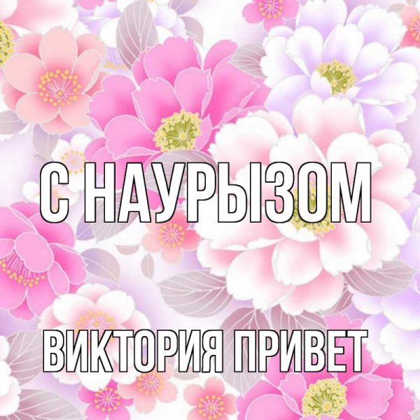 Голубь Вика