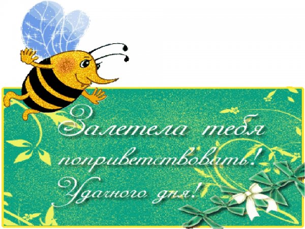 Хорошего дня Пчелка
