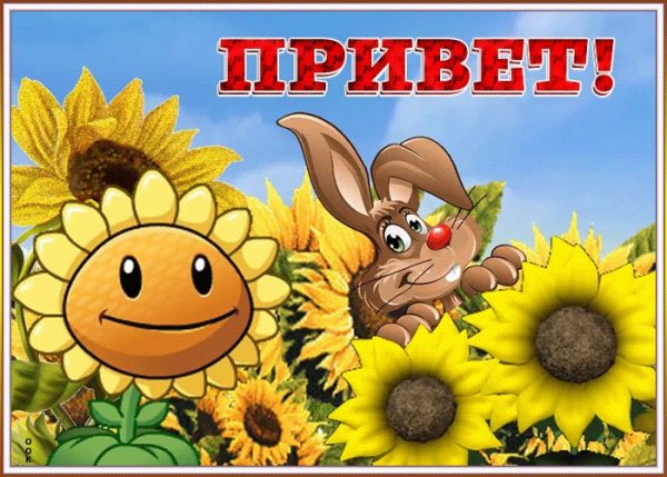 Открытки с приветствиями