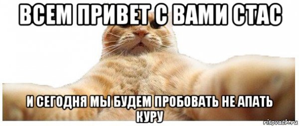 Собака Мем