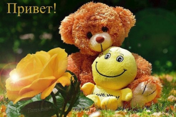 Приветик картинки прикольные