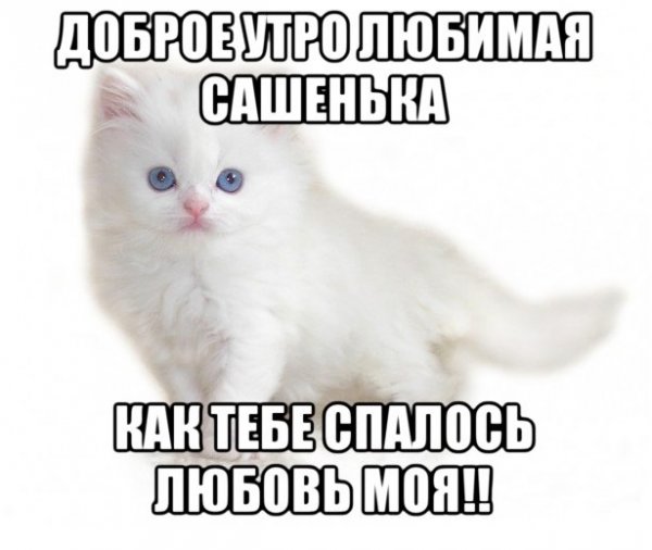 Доброе утро любимый Саша