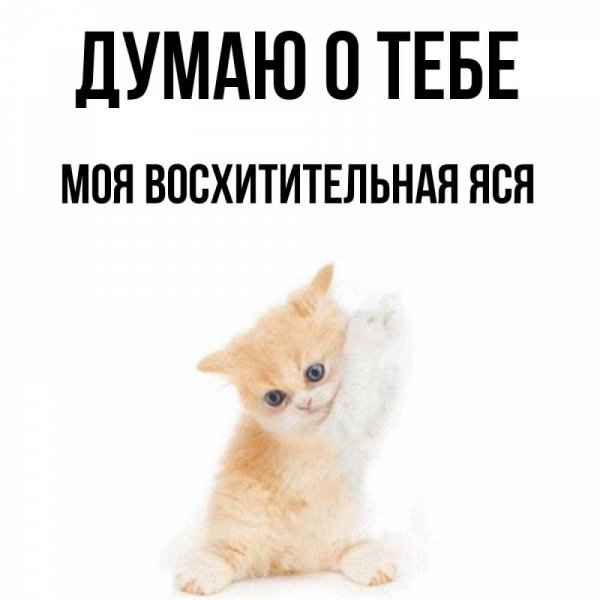 Люблю тебя Сашулька