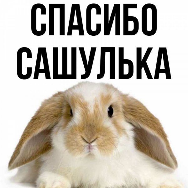 Открытки Рушана