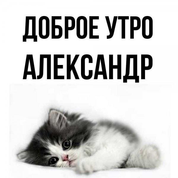 Доброе утро Александр