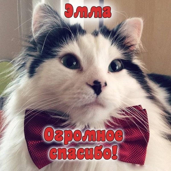Открытки привет прикольные