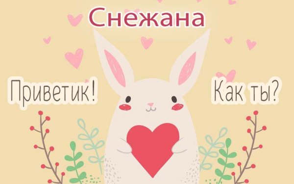 Снежа мемы
