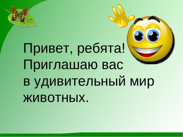 Привет ребята картинки