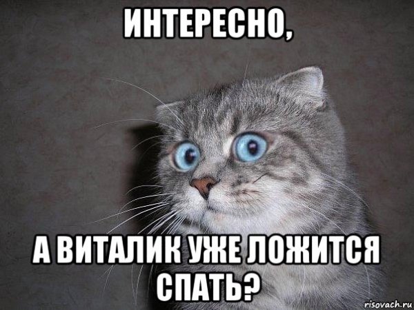 Виталик даун