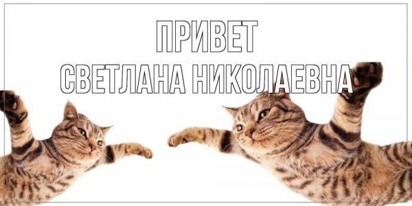 Привет Анжелика