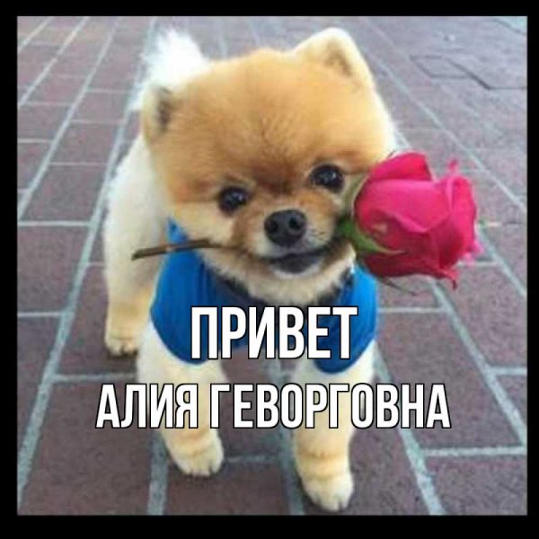 Алия надпись
