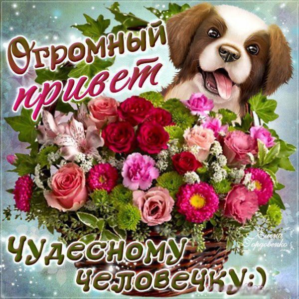 Открытки привет