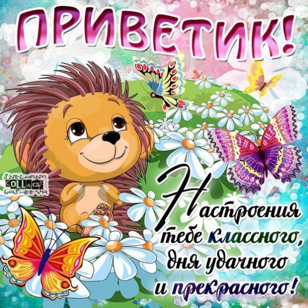 Приветик девочки