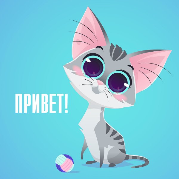 Привет котятки