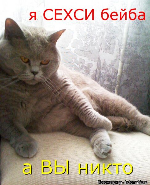 Привет бейба картинки