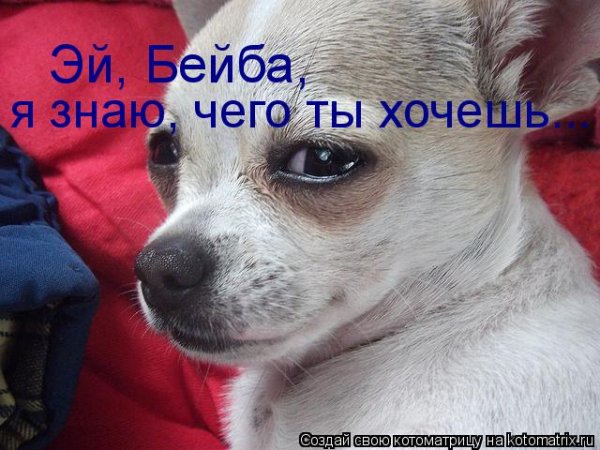 Эй бейба