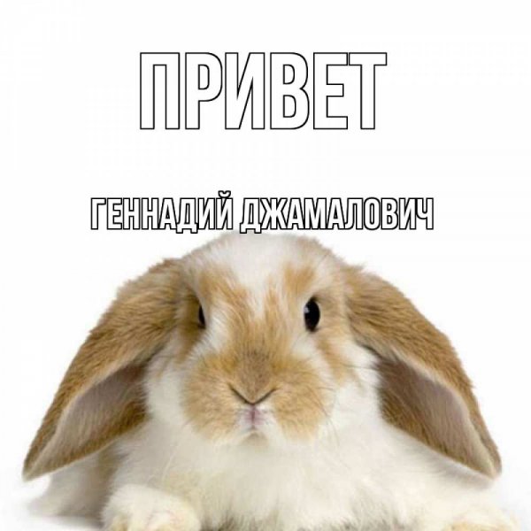 Привет картинки