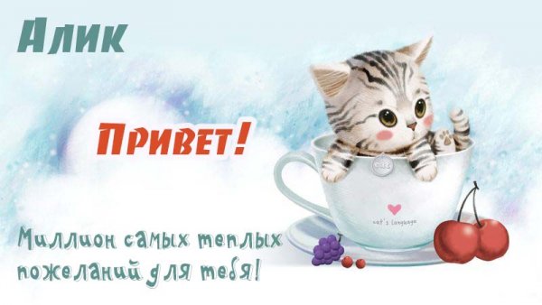 Именная футболка Андрей