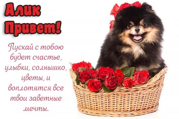 Черный Властелин Алина