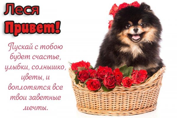 Привет Алена картинки