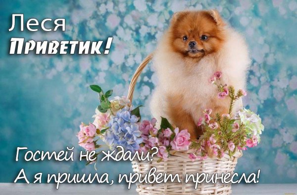 Леся имя