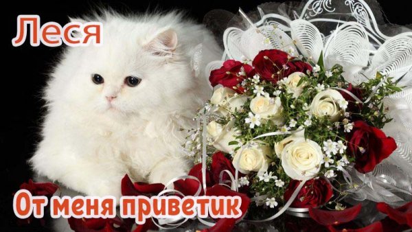 Картинки с именем Леся