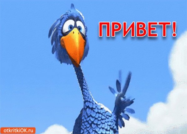 Привет анимация прикольная