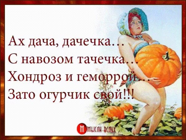 Стихи про огород прикольные