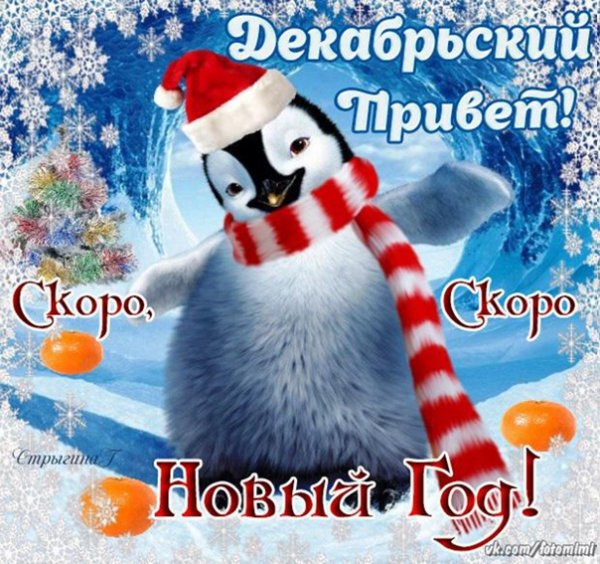 Декабрьский приветик