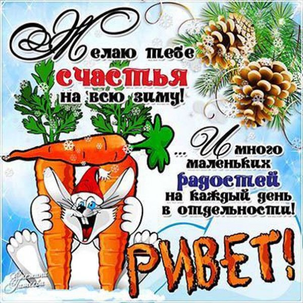 Декабрьский приветик с днем зимы