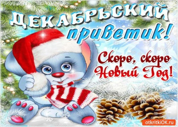 Открытки декабрьский приветик