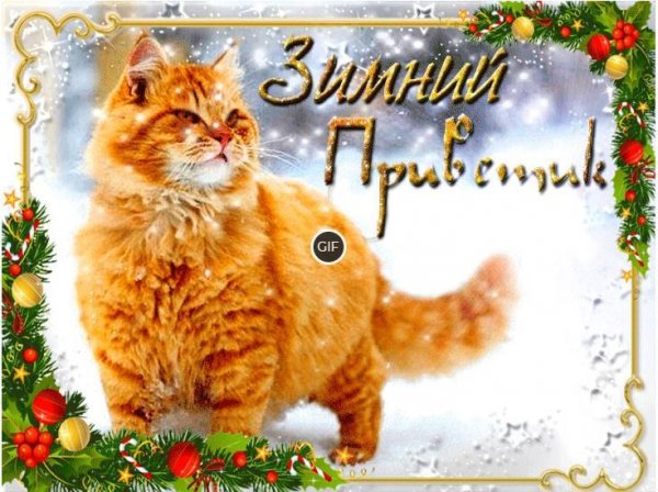 Зимний привет