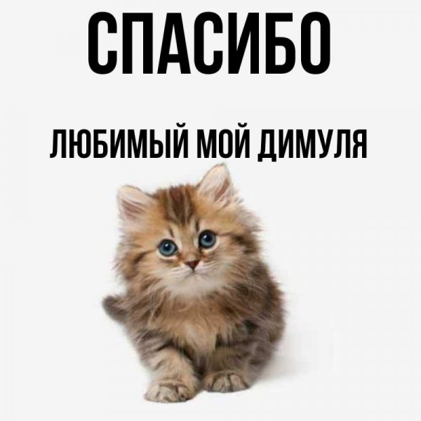 Димка привет картинки