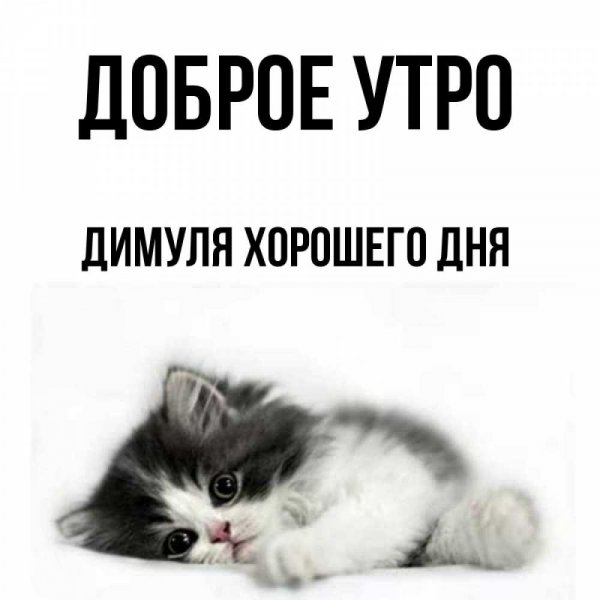 Доброе утро Димуля