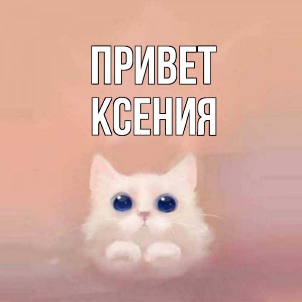 Привет Ксения картинки