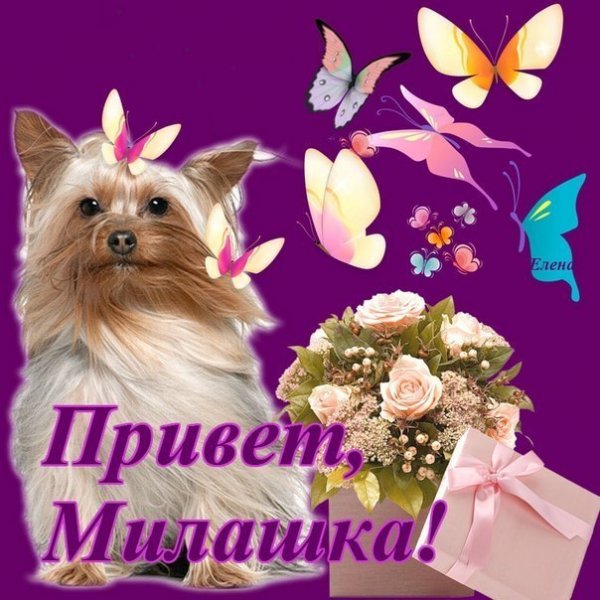 Привет я Ксения