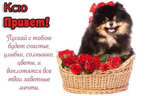 Привет я Ксения