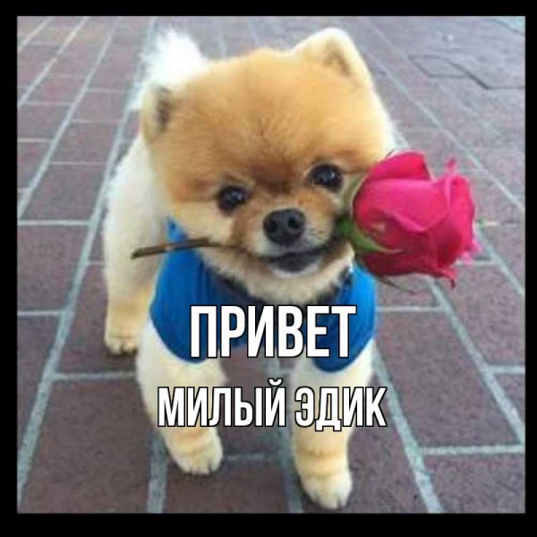 Доброе утро Полина