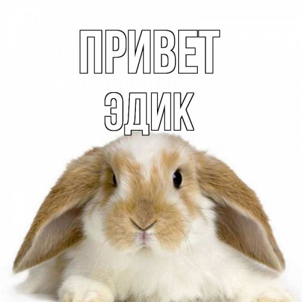 Привет меня зовут страх