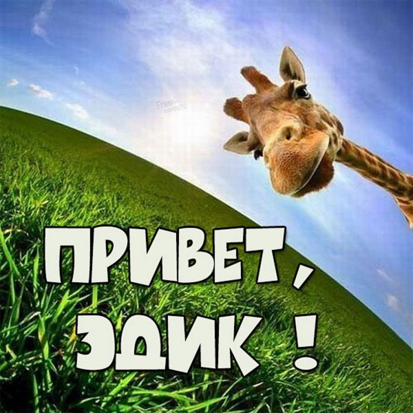 Мемы про Эдика