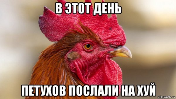 День петуха