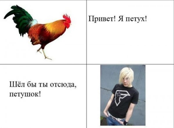 Петушок мемы