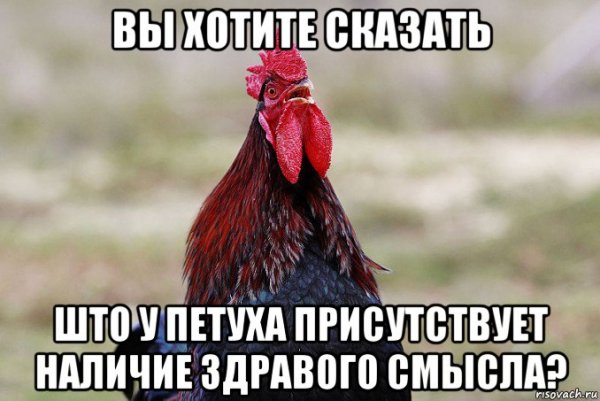 Санек петух