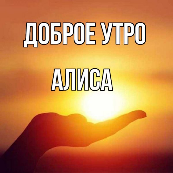 Камиль мемы