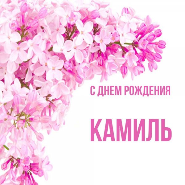 Камиля надпись